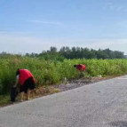 桃源漳江街道推进“秀美桃源”全域环境综合整治提升工作持续发力