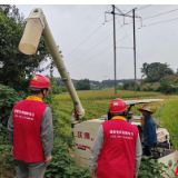 国网石门县供电公司：安全用电进田间 助农秋收除隐患