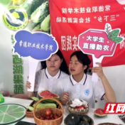 常德西湖：校企合作赋能电商 西湖优质农特产品“飞”出乡村