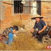 汉寿县北拐村：“铁扫帚”扫出“致富路”