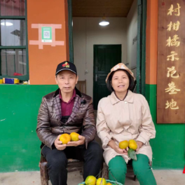 橘香石门丨石门“种橘诗人”盛勇：橘香三十载，诗耕百亩园