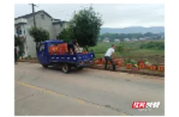 澧县码头铺镇:精准施策破解红白喜事人居环境治理难题