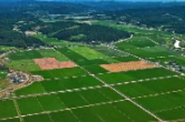 津市市三洲驿街道：以实干践初心 以实绩答民忧