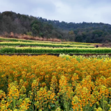 沈昌健：让科研成果沾有泥土气  用实干担当书写乡村振兴答卷