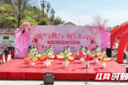 桃源县热市镇山河村：粉韵山河桃花开