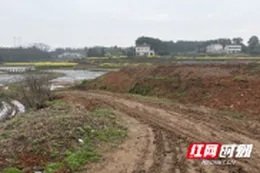 桃源县盘塘镇红岩山村——碎石铺就春耕“顺心路”