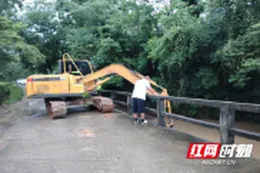 桃源县盘塘镇：风雨中逆行 守护烟农的“致富叶”