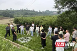 讲台搬到水库旁！桃源县盘塘镇淬炼干部应急本领
