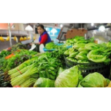 肉禽蛋价格下跌 蔬菜价格稳定 居民“菜篮子”量足价稳