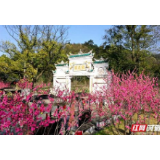 桃花源入选2019湖南十大文旅地标