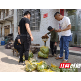 澧县：澧澹街道入户开展消费扶贫助力贫困户增收