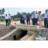 市领导调研桃花源乡村振兴工作