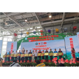 湖南茶业博览会在长沙开幕，常德斩获多项大奖