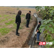 鼎城区斗姆湖街道：沟渠硬化保灌溉