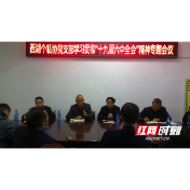 常德西湖：个私协党支部召开学习贯彻“十九届六中全会”精神专题会