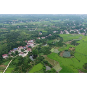 临澧佘市桥镇蒋家村获省级特色精品乡村创建殊荣