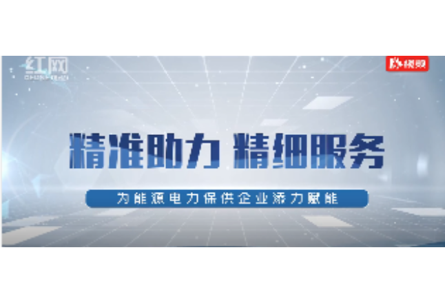 视频丨常德经开税务：为能源电力保供企业添力赋能