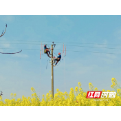 常德澧县：“电”亮乡村振兴路