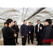 毛伟明来常检查春耕生产和防汛备汛工作：全力抓好春耕生产 守护三湘河湖安澜