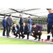 邹文辉调研防汛备汛、河湖长制、粮食生产和农业保险工作