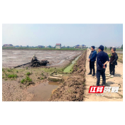 常德西湖：西湖镇退藕还田 严控耕地“非粮化”“非农化”