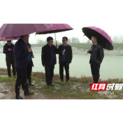 省水利厅领导到安乡检查防汛备汛工作