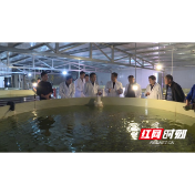 安乡：陈德调研水产养殖转型升级工作