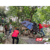 新时代文明实践耀武陵丨穿紫河街道惠家坪社区：学党史办实事  党员带头拆违建