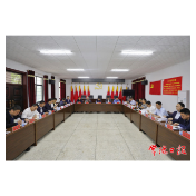 常德市领导赴临澧县督导党史学习教育和乡村振兴工作