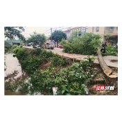 我为群众办实事丨鼎城区斗姆湖街道：以人居环境整治拉开乡村振兴大幕