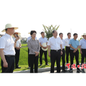 快讯丨全省农村人居环境整治暨厕所革命现场推进会在常德召开