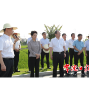 全省农村人居环境整治暨厕所革命现场推进会在常召开