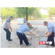 常德武陵公安：妥善处置校园内流浪狗
