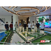 津市召开房地产企业家座谈会