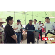 致公党湖南省委会来汉寿调研洞庭湖生态环保民主监督工作