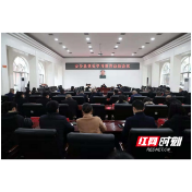 安乡县召开党史学习教育总结会议