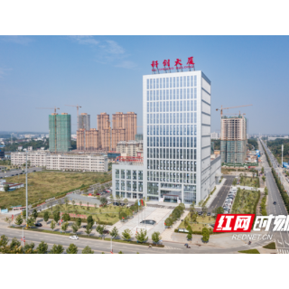 回眸2021︱桃源高新区获省政府真抓实干表扬激励奖励