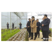 陈华赴鼎城调研春耕备耕、粮食生产工作时强调：  积极应对变化 保障粮食安全