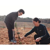 常德市直统一战线开展义务植树志愿服务活动