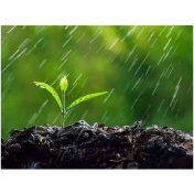 春雨按下“插播键”  常德未来一周有两次降水过程