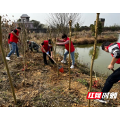新时代文明实践耀武陵｜穿紫河街道：春风送暖  绿动家园