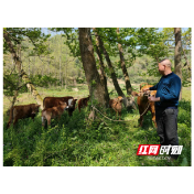 石门重复桥村：因地制宜兴产业 村民圆了幸福梦