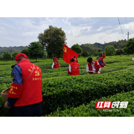 进农户、观看国家安全宣传片……全民国家安全教育日常德高速人这样做 