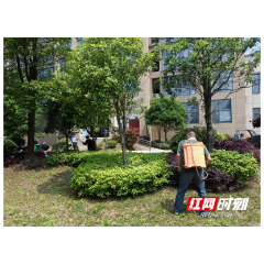 虫害扰民 西湖房管局雷霆出击