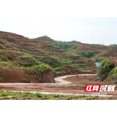 常德桃源：特色产业跑出乡村振兴“加速跑”