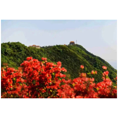 临澧太浮山风景名胜区管理处：旅游产业转型升级 做活“旅游+”文章