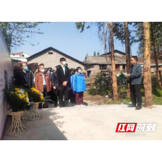 新时代文明实践耀武陵|永安街道：缅怀革命先烈  慎终追远