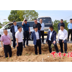 市领导到临澧县沃沙村调度乡村振兴工作