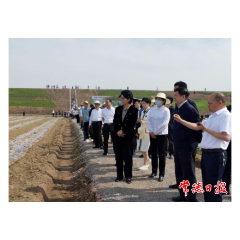 全省棉花生产现场推进会在澧县召开：把握机遇 积极主动 将稳定棉花生产作为重要任务部署落实