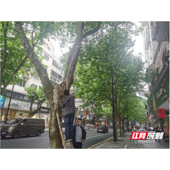 新时代文明实践耀武陵：府坪街道青阳阁社区积极妥善解决临街私设空调落水管问题